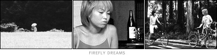 Firefly Dreams