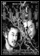 picture: DVD cover of 'Electric Dragon 80,000 V'