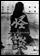 picture: DVD cover of 'Kwaidan'